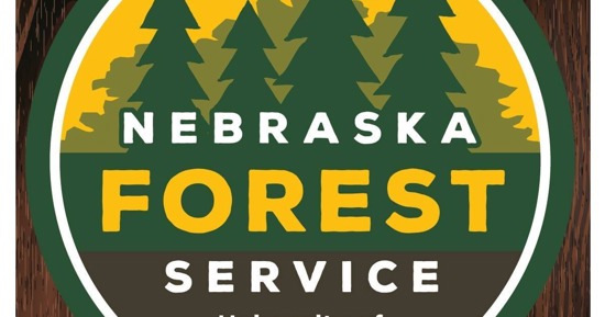 Communities Urged to Prioritize Watering Trees Amid Ongoing Drought Conditions in Nebraska